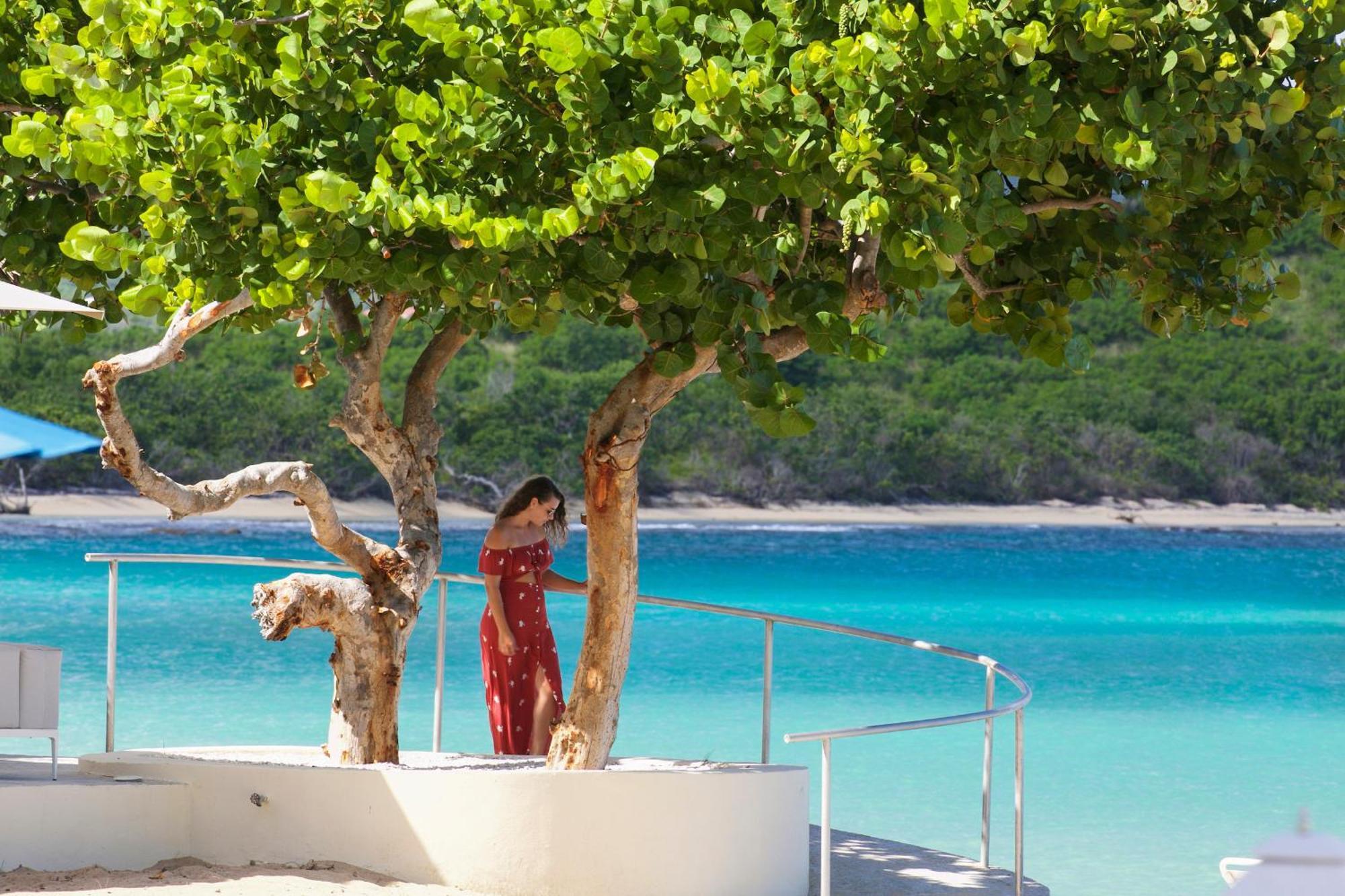 The Buccaneer Beach & Golf Resort Christiansted Buitenkant foto